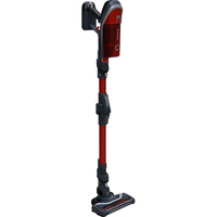 Rowenta RH9679WO X-Force Flex 8.60 Animal